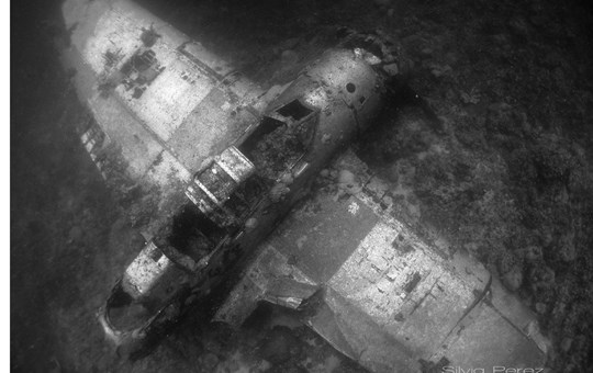 Solitude One Palau Wreck